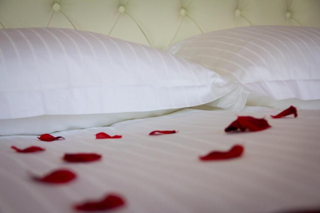 Guest House Sterk Nova Gorica Quarto foto