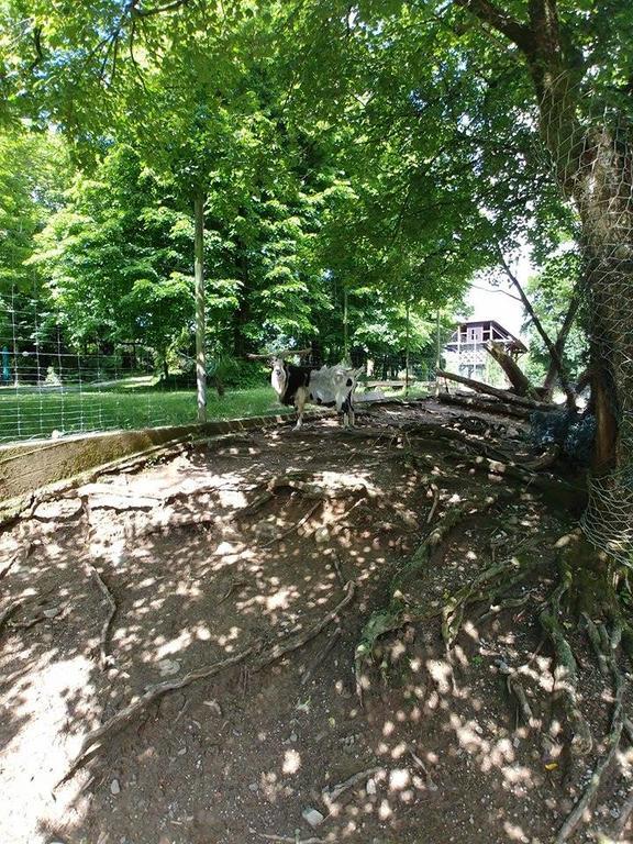 Guest House Sterk Nova Gorica Exterior foto